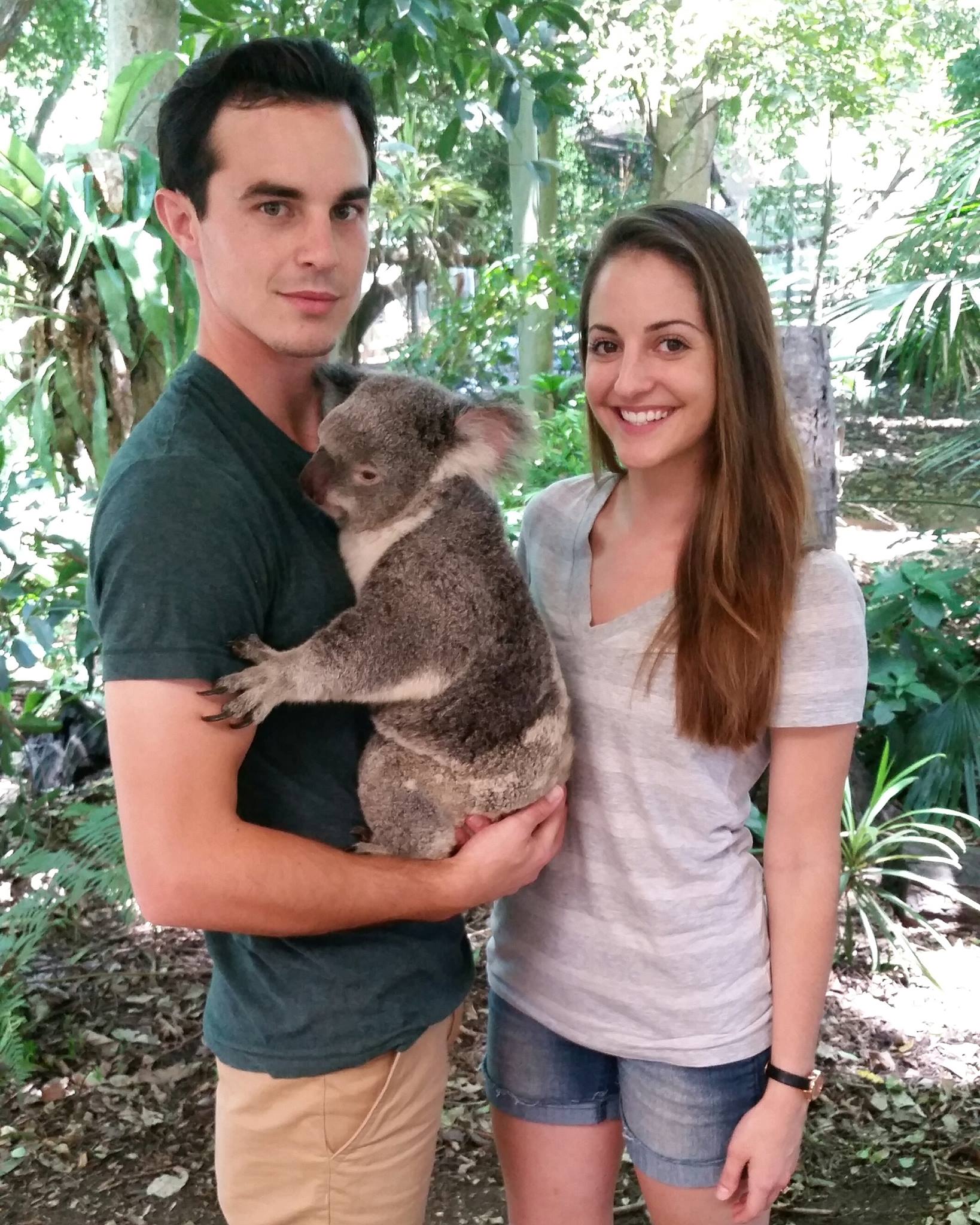 Lone Pine Koala Sanctuary: Day Trip | Laura Near and Far